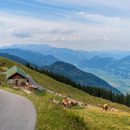 In Near Spieljoch Cable Car 菲根