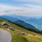 In Near Spieljoch Cable Car Fügen