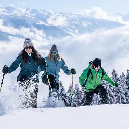 Daire In Near Spieljoch Cable Car Fügen